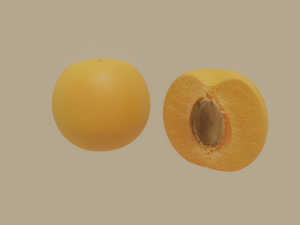 apricot Model 3D