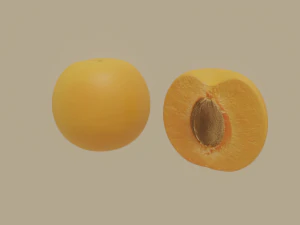 apricot 3D Model