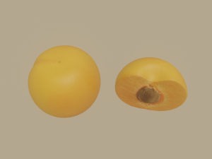 apricot Model 3D
