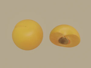 apricot 3D Model