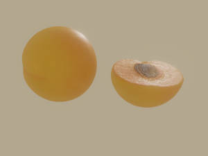 apricot Model 3D