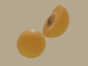 apricot Model 3D