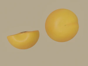 apricot 3D Model