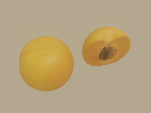 apricot 3D Model