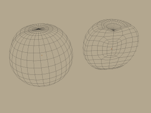 apricot Model 3D