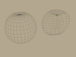 apricot 3D Model