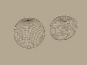 apricot Model 3D