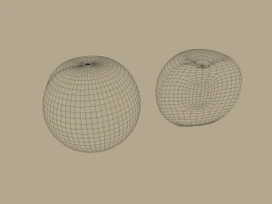 apricot 3D Model