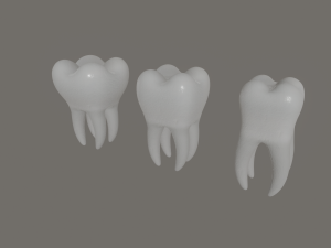 tooth 3D Model