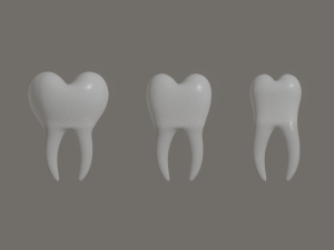 tooth 3Dモデル