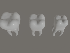 tooth 3Dモデル