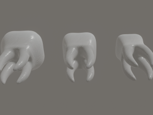 tooth 3Dモデル