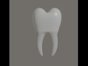 tooth 3Dモデル