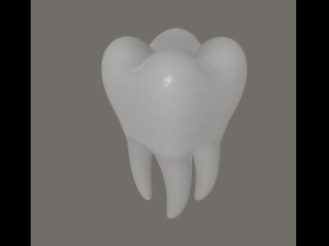 tooth 3Dモデル