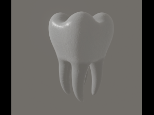 tooth 3Dモデル