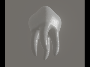 tooth 3Dモデル