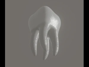 tooth 3D Model