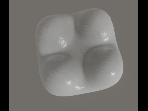 tooth 3Dモデル