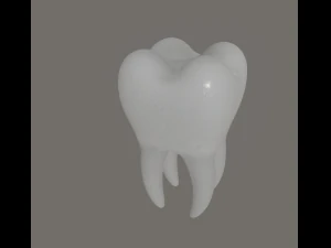 tooth 3D Model
