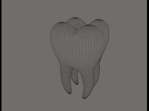 tooth 3Dモデル