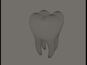 tooth 3D Model