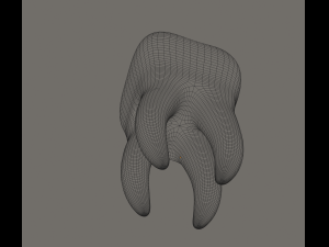 tooth 3Dモデル
