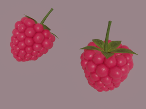 raspberry 3D Model