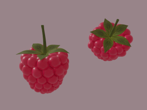 raspberry 3D मॉडल