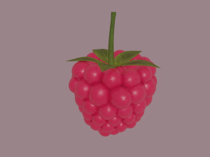raspberry 3D मॉडल