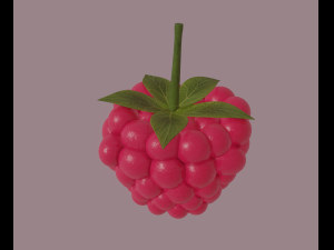 raspberry 3D मॉडल