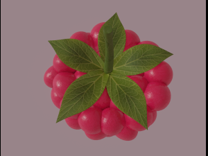 raspberry 3D मॉडल