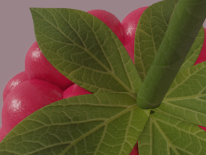 raspberry 3D मॉडल