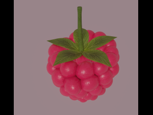 raspberry 3D मॉडल