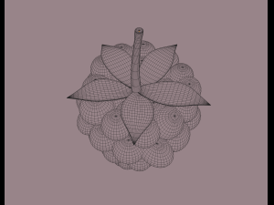 raspberry 3D मॉडल