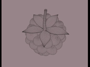 산딸기 3D 모델