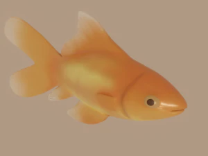 ikan mas Model 3D