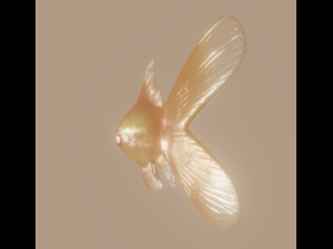goldfish 3D Model