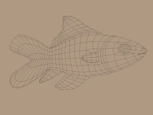 ikan mas Model 3D