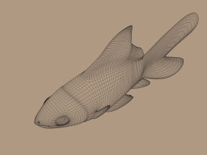 goldfish 3D Model