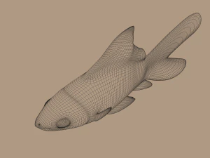 ikan mas Model 3D