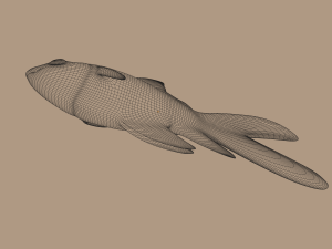 goldfish 3D Model