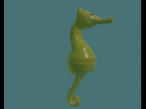 seahorse 3D Модель