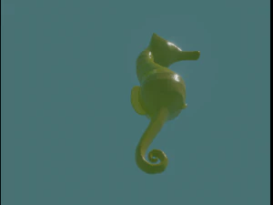seahorse 3D Model