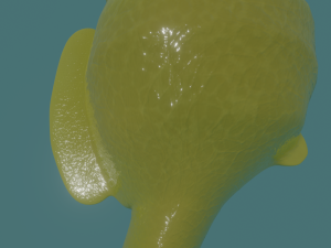 seahorse 3D Модель