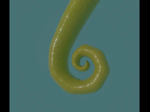 seahorse 3D Model