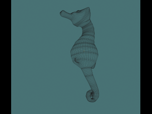 seahorse 3D Модель