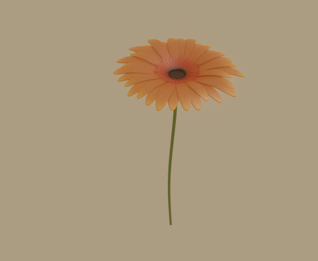 gerbera flower Model 3D .c4d .max .obj .3ds .fbx .stl .blend 