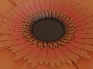 gerbera flower Model 3D