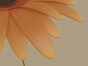 gerbera flower Model 3D