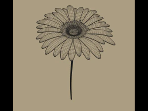 gerbera flower 3D Model